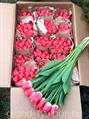 Тюльпаны розовые Supermodel